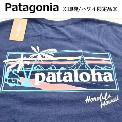 Patagonia  |Logo Outdoor T-Shirts