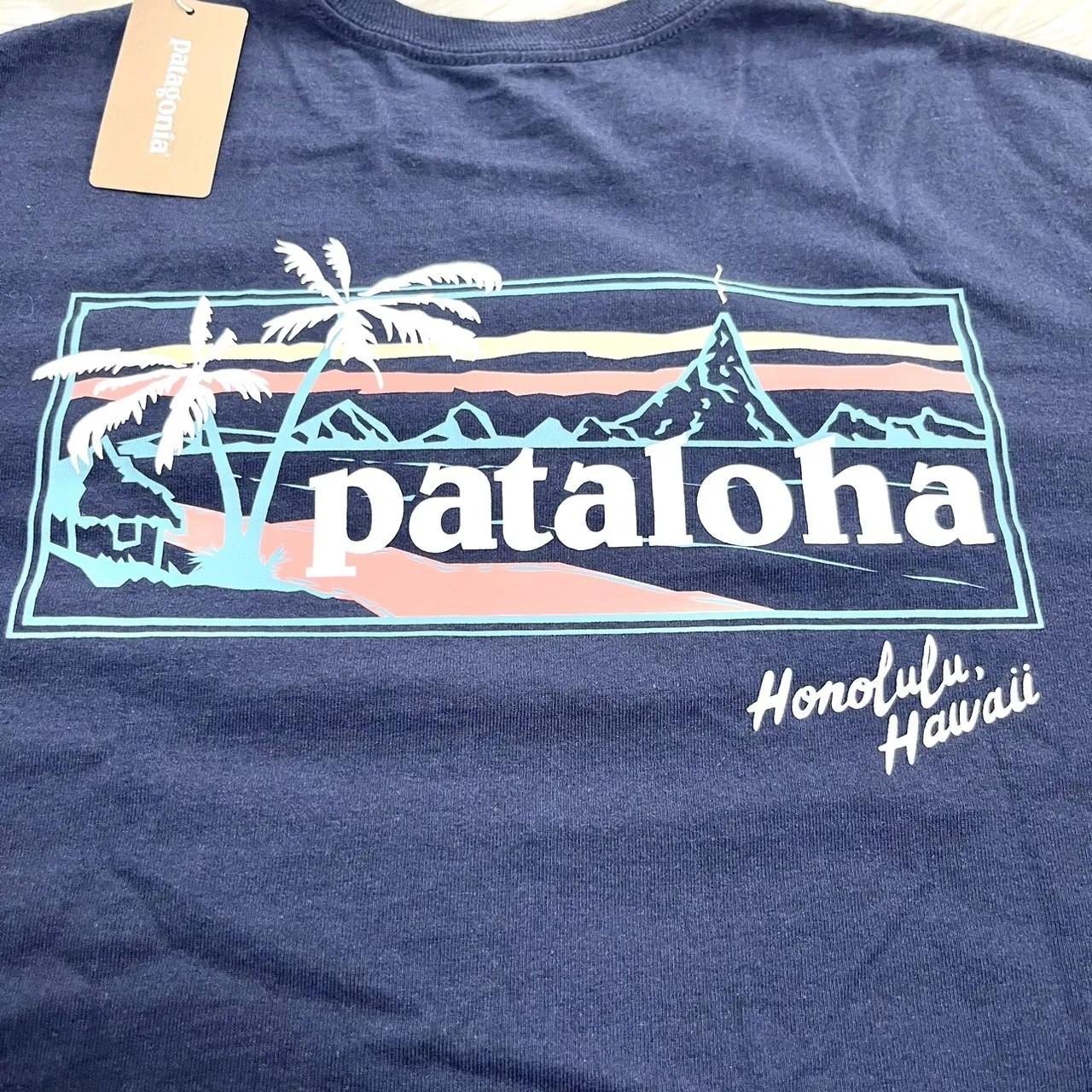 Patagonia  |Logo Outdoor T-Shirts