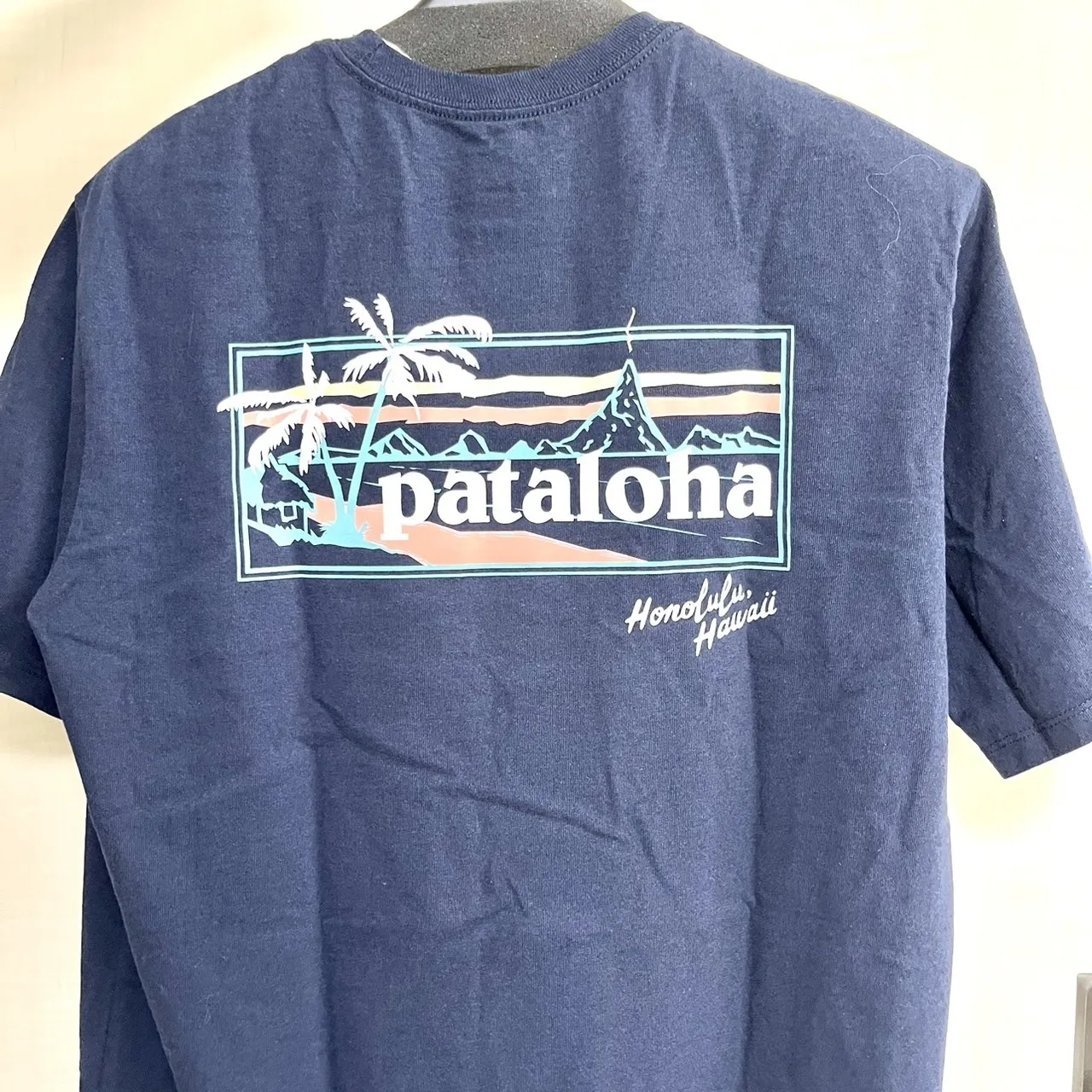 Patagonia  |Logo Outdoor T-Shirts