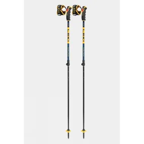 Spitfire Vario 3D Ski Poles (Pair)