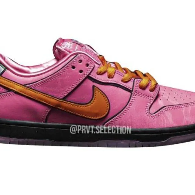 The powerpuff girls x nike sb dunk low blossom